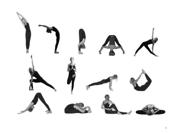 12 yoga poses website