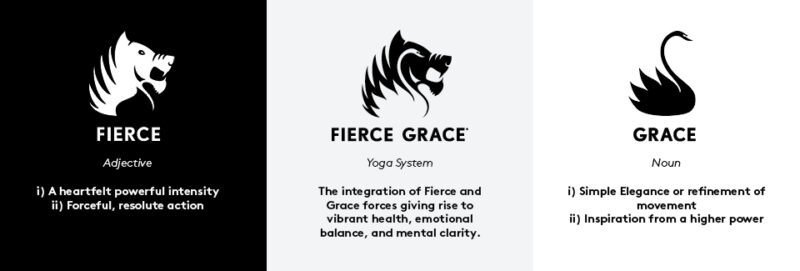 Fierce - definition and meaning with pictures