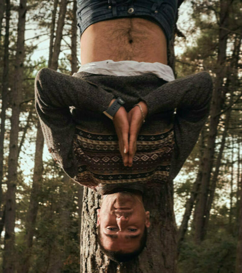 Georgeyogatree