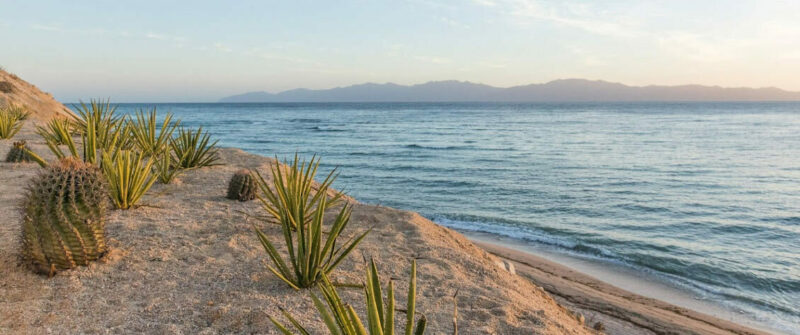 Mexico excursions